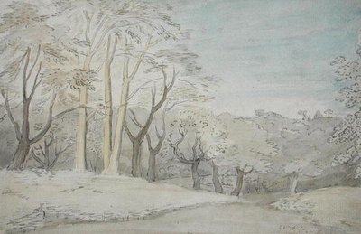A Woody Landscape, c.1801 by William Blake